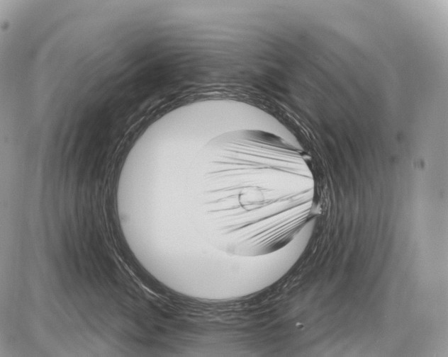 X0000086070764200704202126