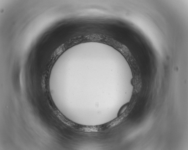 X0000086070765200704202126