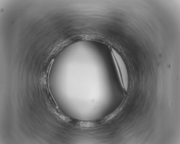 X0000086070766200704202126