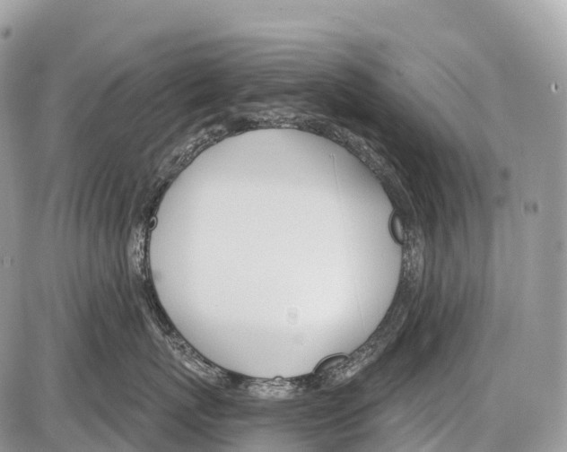 X0000086070767200704202126