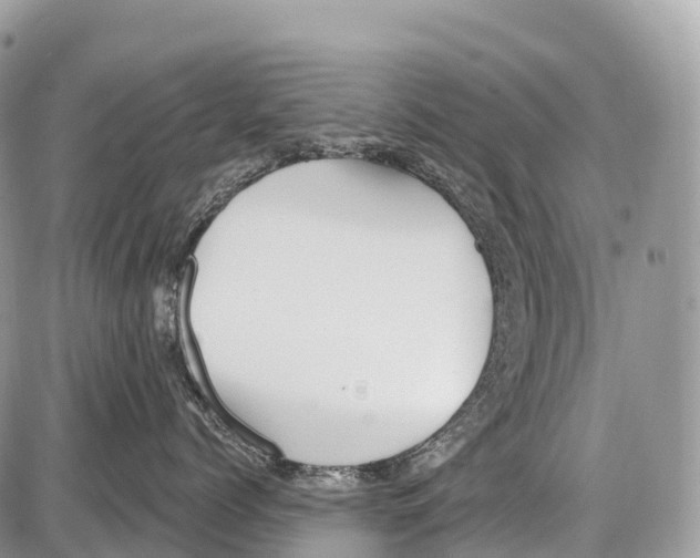 X0000086070768200704202126