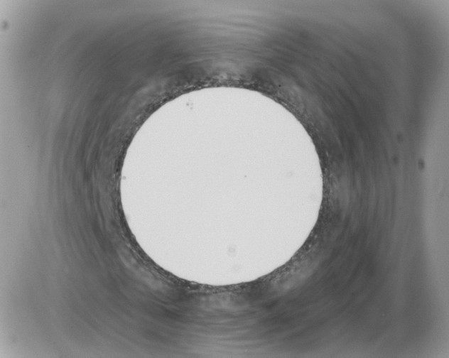 X0000086070769200704202125