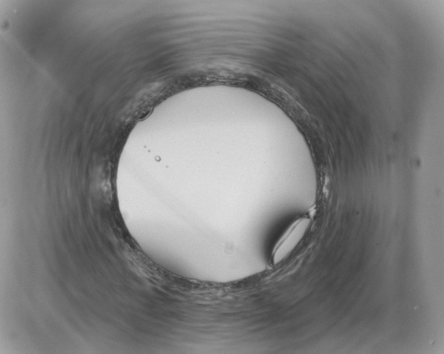 X0000086070771200704202125