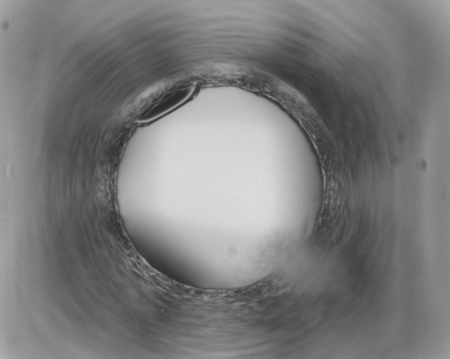 X0000086070773200704202125