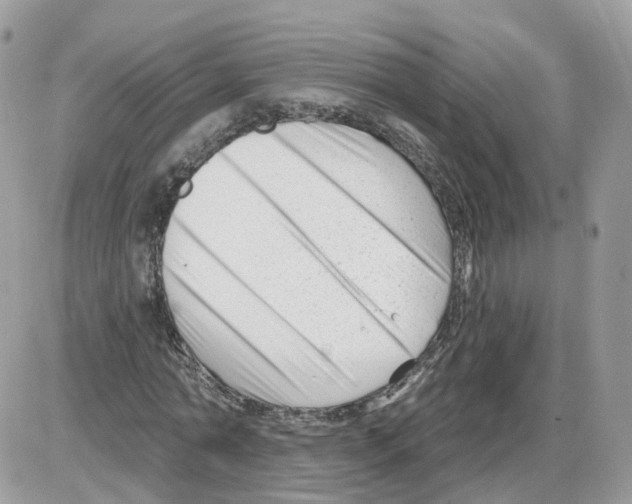 X0000086070774200704202125