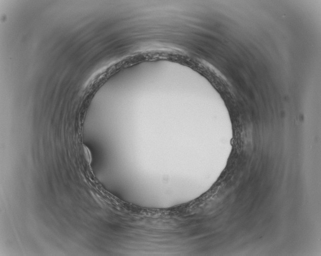 X0000086070775200704202125