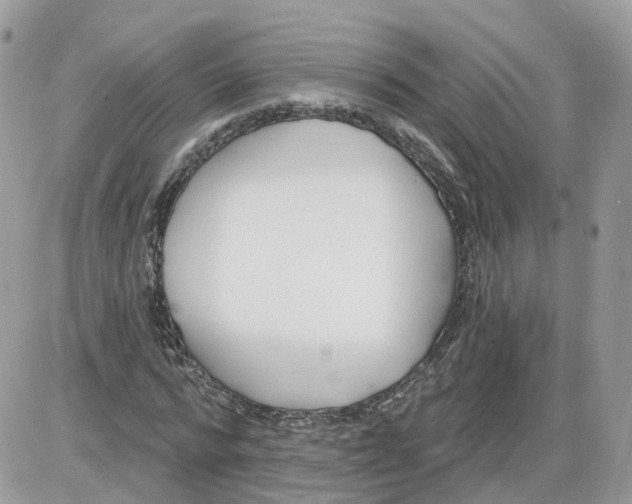 X0000086070776200704202125