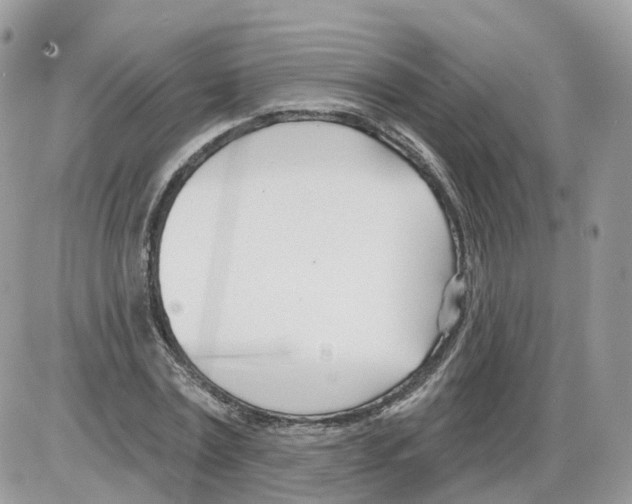 X0000086070779200704202125