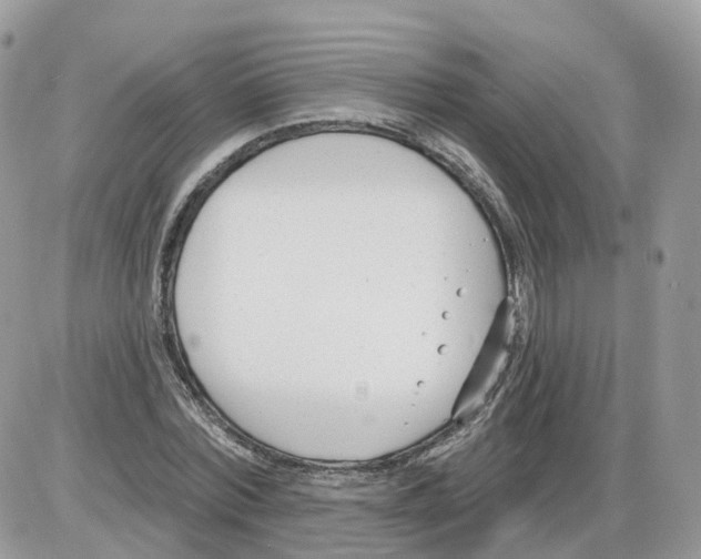 X0000086070780200704202125