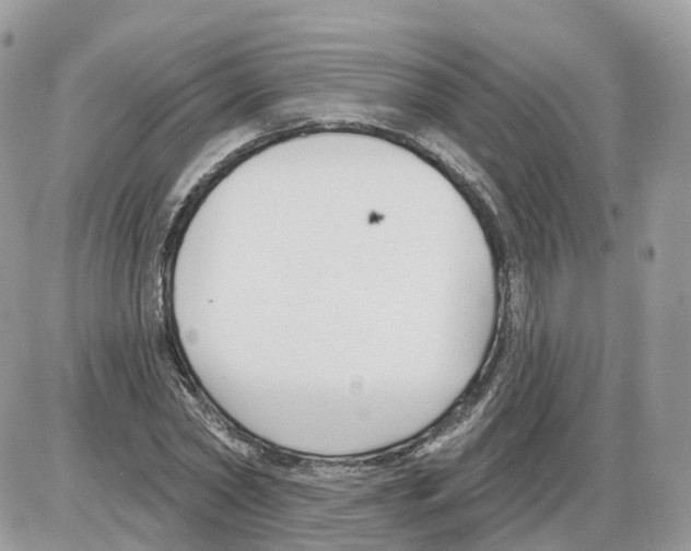 X0000086070782200704202125