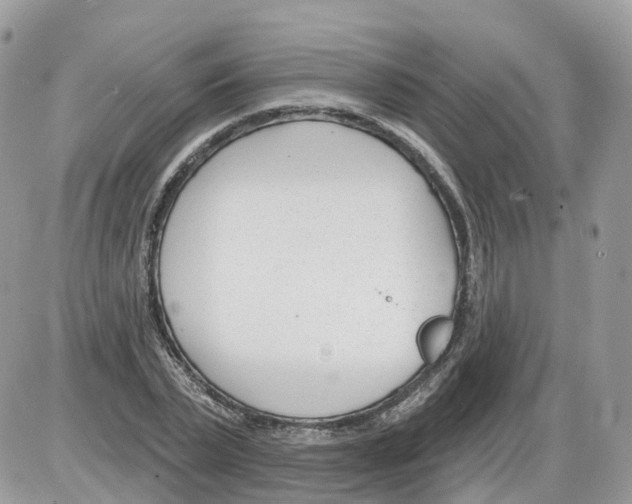 X0000086070783200704202125