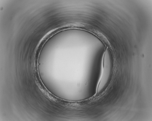 X0000086070784200704202125