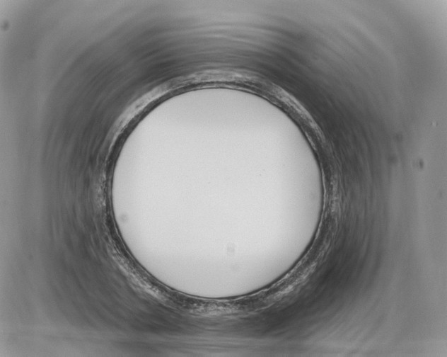 X0000086070786200704202125