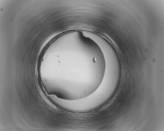 X0000086070788200704202125