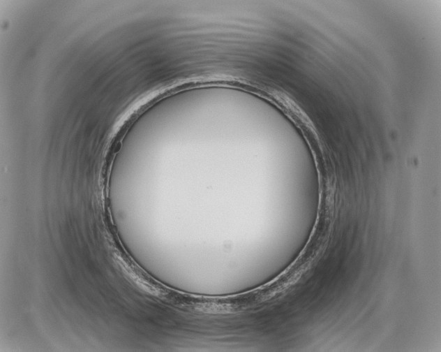 X0000086070789200704202125