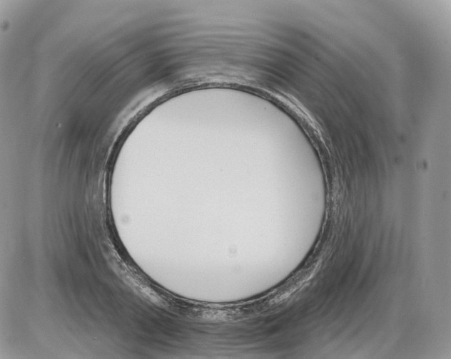 X0000086070790200704202125