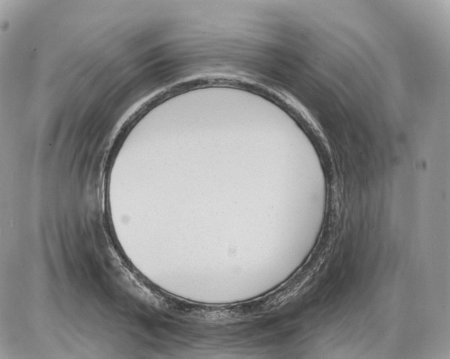 X0000086070791200704202125