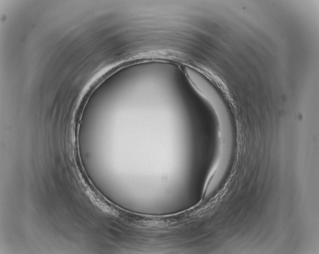 X0000086070792200704202125