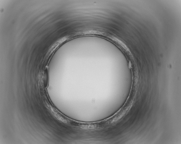 X0000086070793200704202125