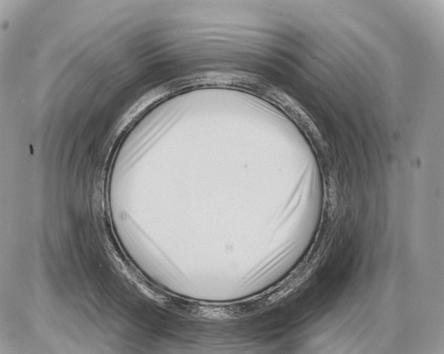 X0000086070794200704202125