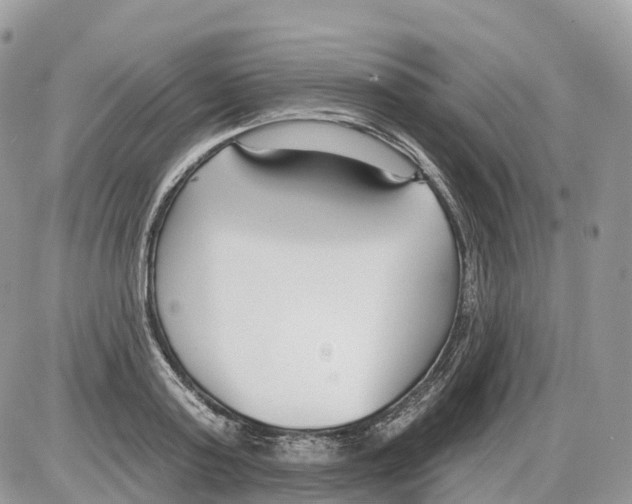 X0000086070795200704202125