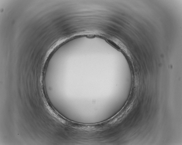 X0000086070797200704202125