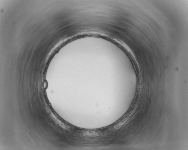 X0000086070799200704202125