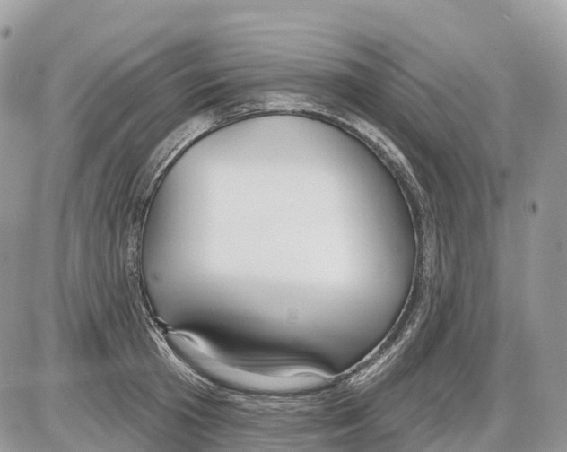 X0000086070801200704202125