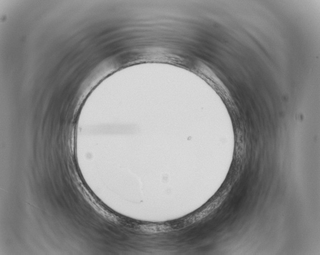 X0000086070804200704202125