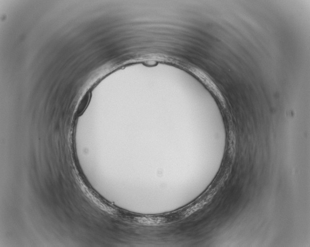 X0000086070805200704202125