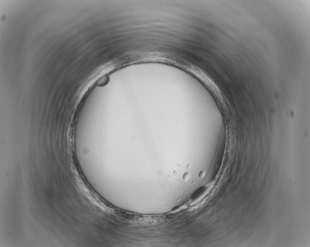 X0000086070806200704202125