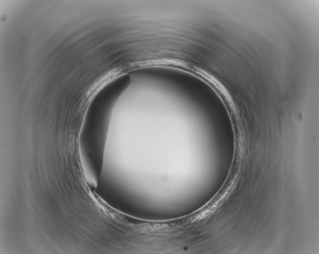 X0000086070809200704202125