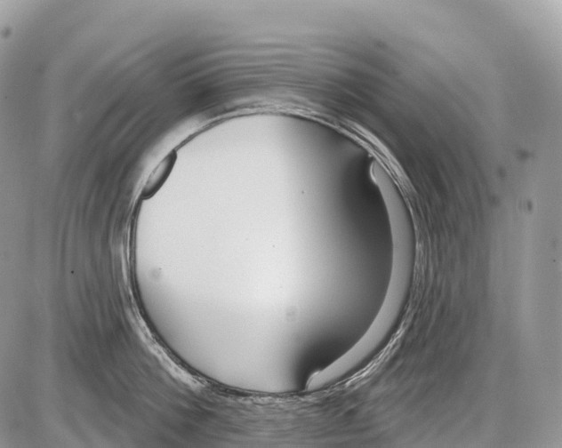 X0000086070812200704202125