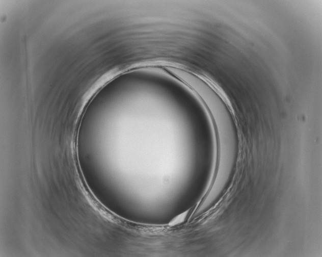 X0000086070813200704202125