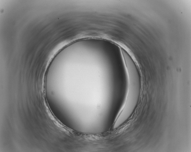 X0000086070815200704202125