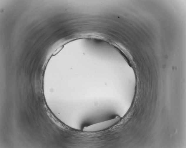 X0000086070816200704202125