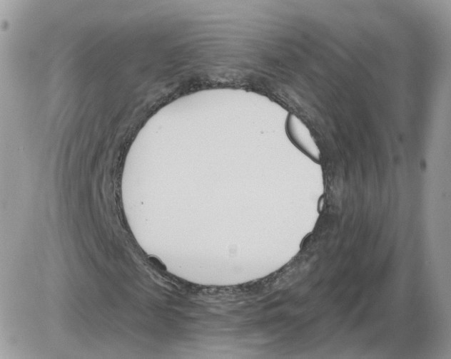 X0000086070817200704202124