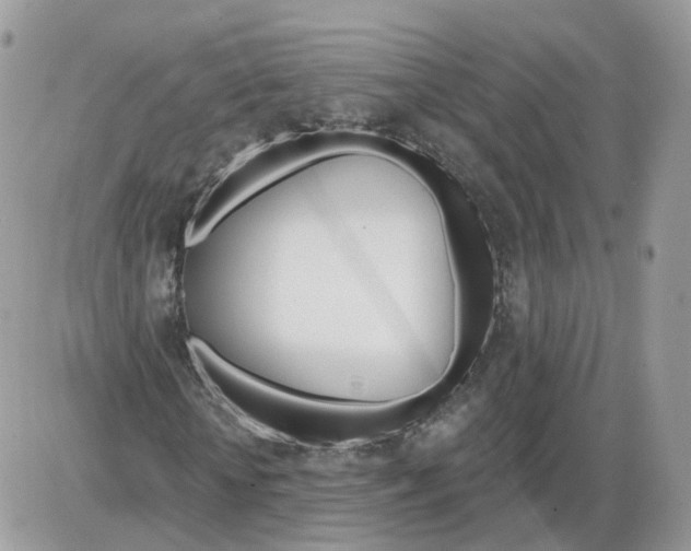 X0000086070818200704202124