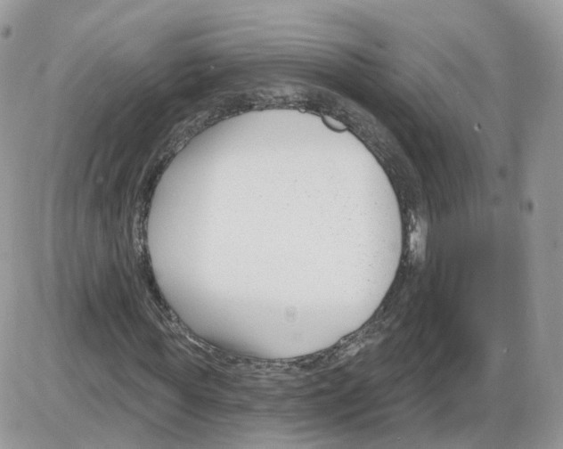 X0000086070819200704202124