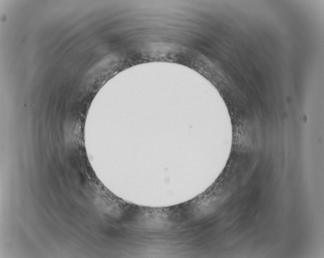 X0000086070820200704202124