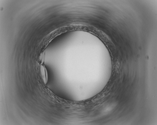 X0000086070821200704202124