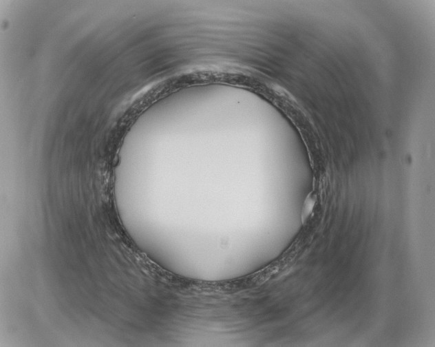 X0000086070822200704202124