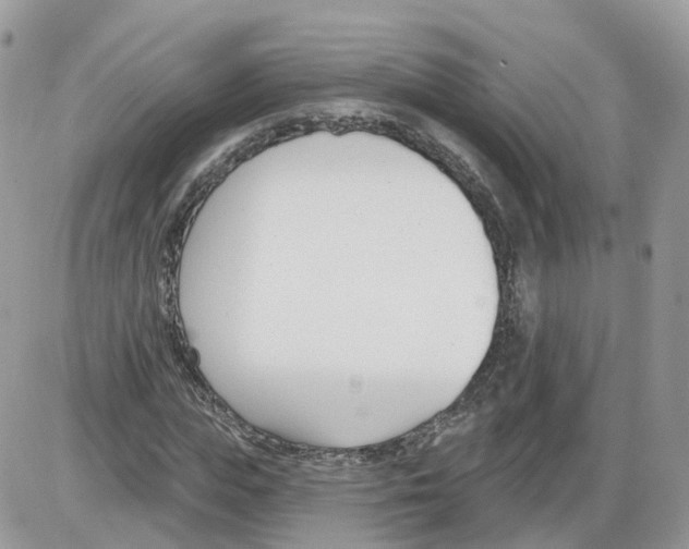 X0000086070823200704202124