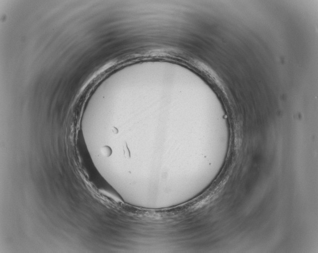 X0000086070827200704202124