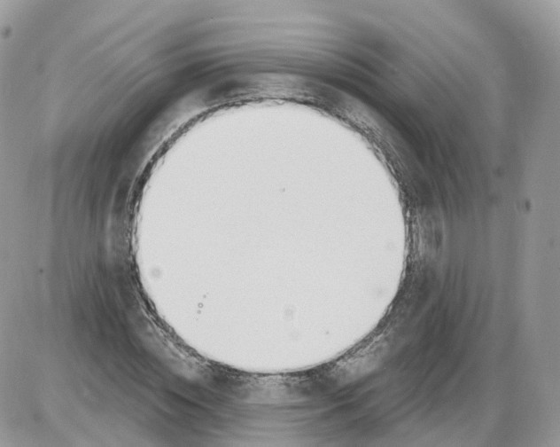 X0000086070828200704202124