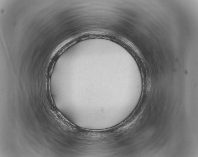 X0000086070829200704202124