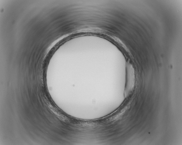 X0000086070830200704202124