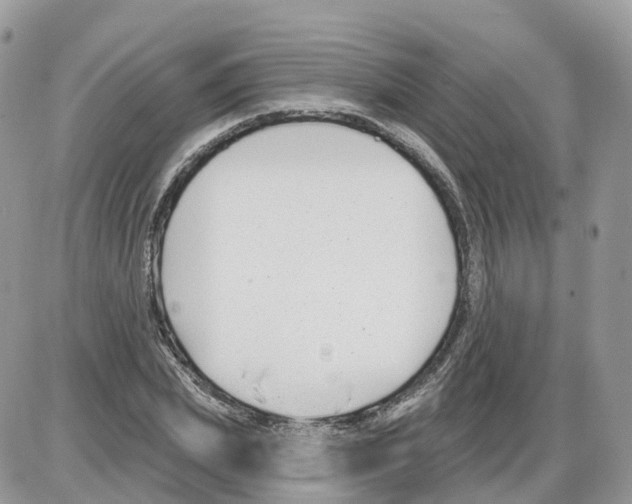 X0000086070831200704202124