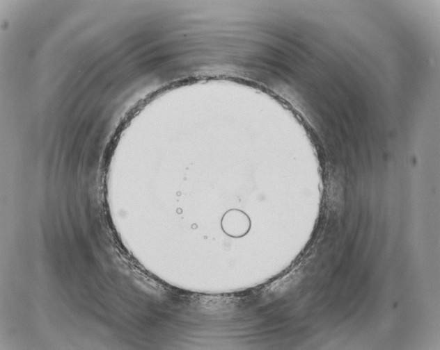 X0000086070832200704202124