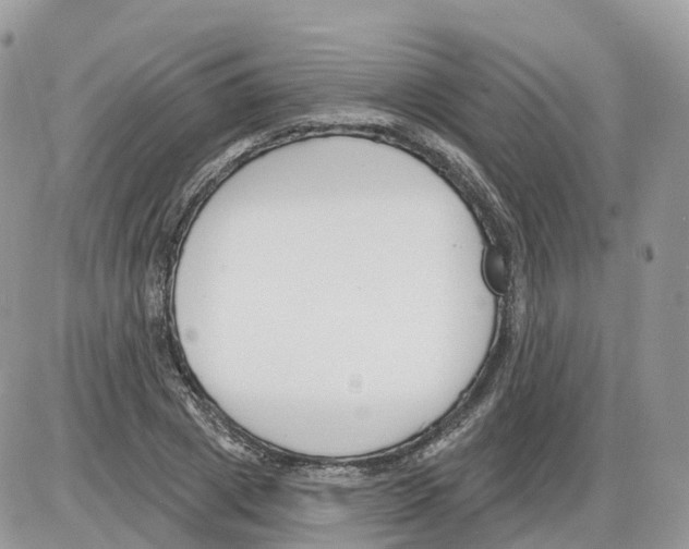 X0000086070833200704202124